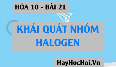 Nhóm Halogen: Vị trí, Cấu hình electron, Cấu tạo phân tử, Sự biến đổi tính chất Vật lý, Hóa học của Halogen - Hóa 10 bài 21
